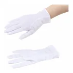 AS ONE ASPURE Dust-Proof ESD Gloves (Long Type), 아즈퓨아 방진 ESD장갑(긴 타입)
