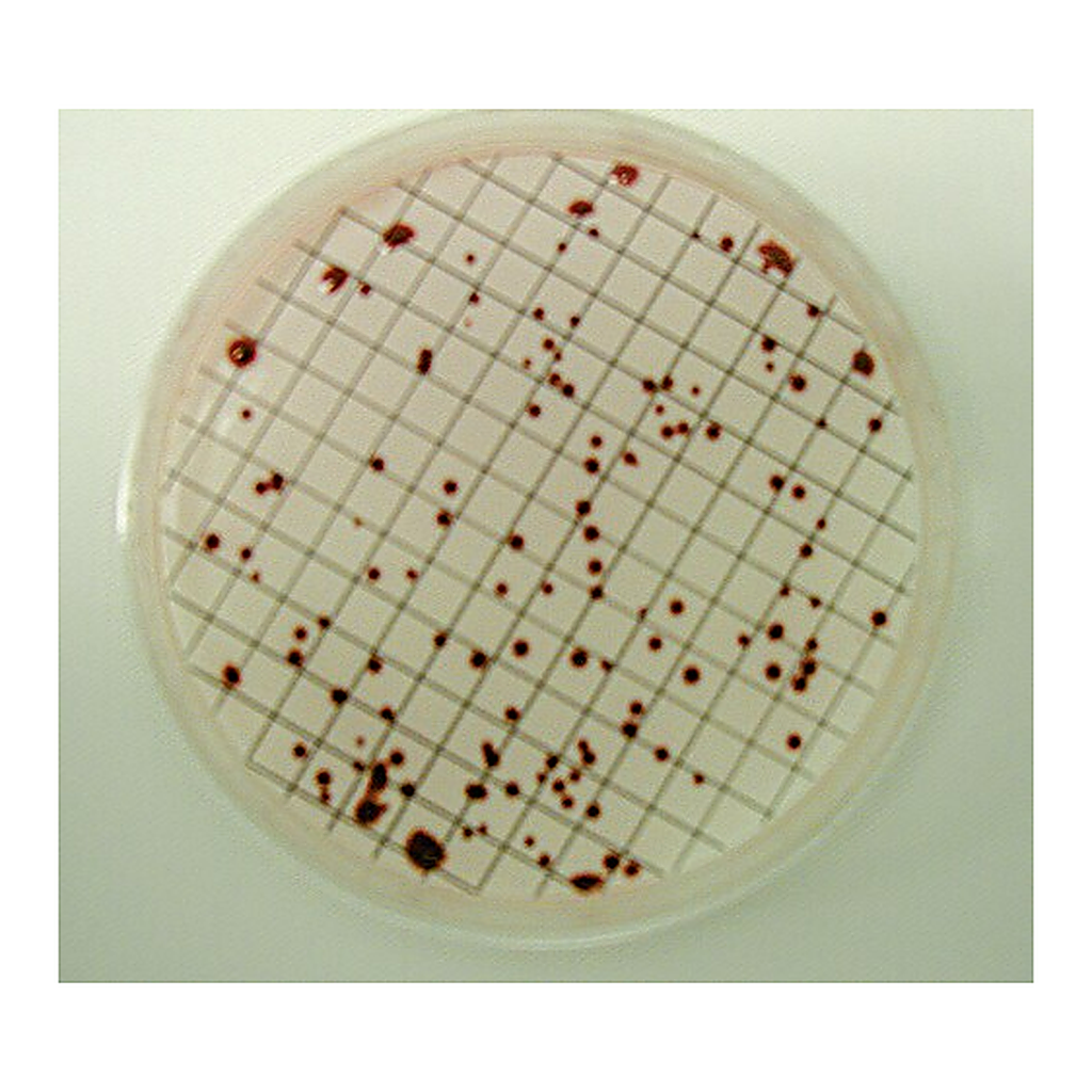 Merck Total Count Broth with TTC