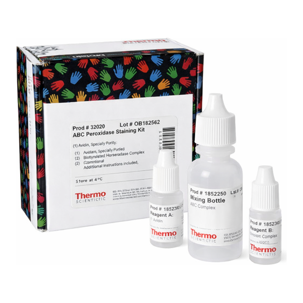 Thermo Fisher Scientific ABC Peroxidase Standard Staining Kit