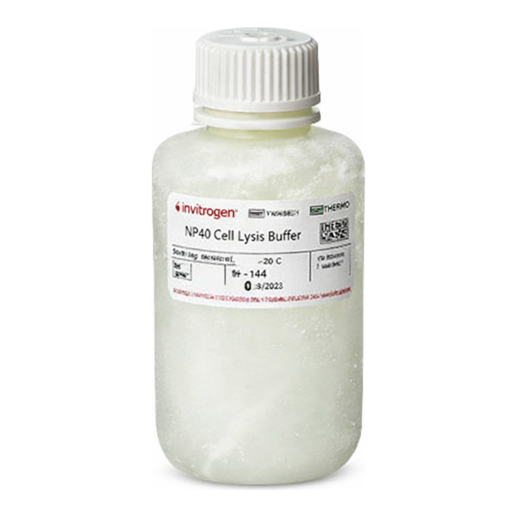 Thermo Fisher Scientific Cell Lysis Buffer II