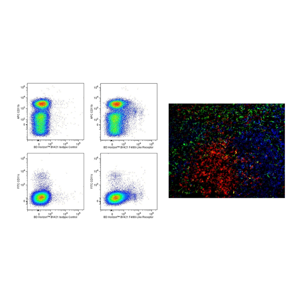 BD BV421 Rat Anti-Mouse F4/80-Like Receptor