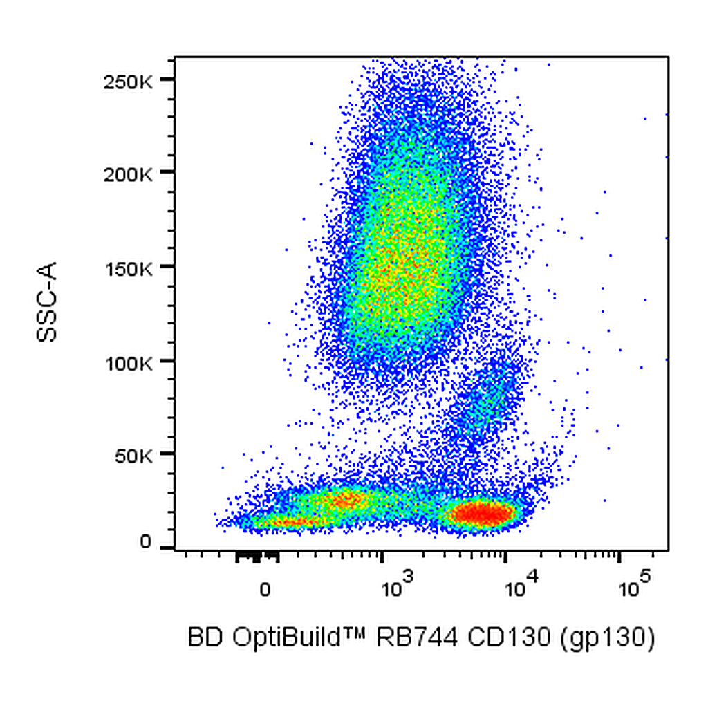 BD RB744 Mouse Anti-Human CD130 (gp130)