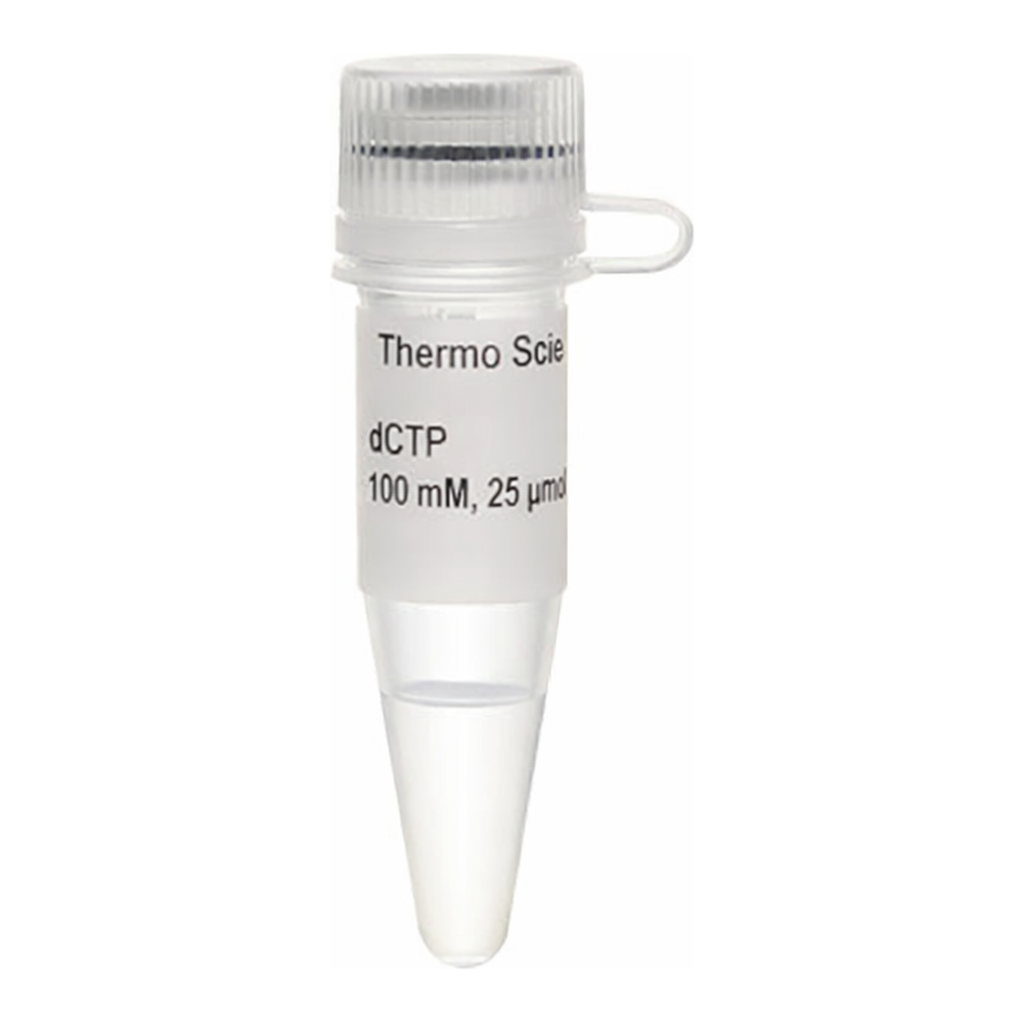 Thermo Fisher Scientific dCTP Solution (100 mM)