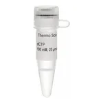 Thermo Fisher Scientific dCTP Solution (100 mM)