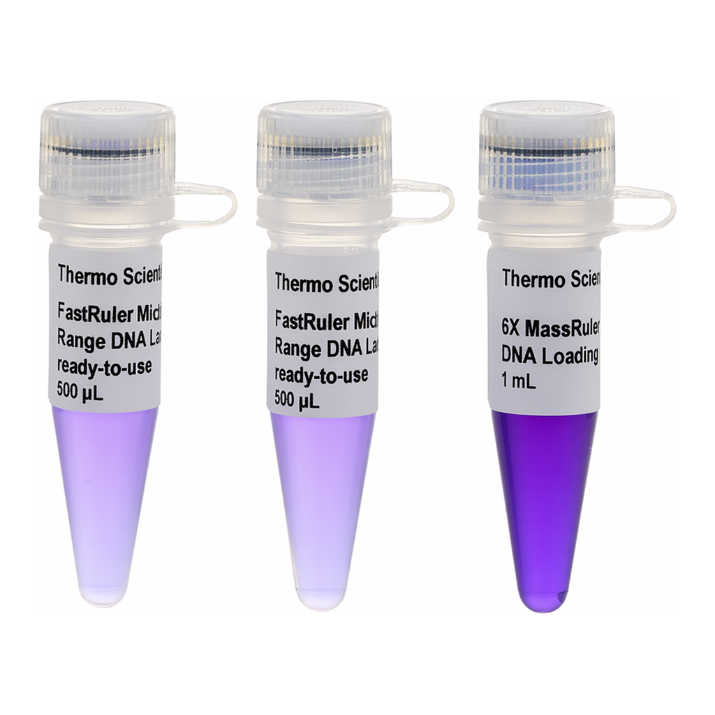 Thermo Fisher Scientific FastRuler Middle Range DNA Ladder, ready-to-use