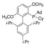 Merck AdCyBrettPhos