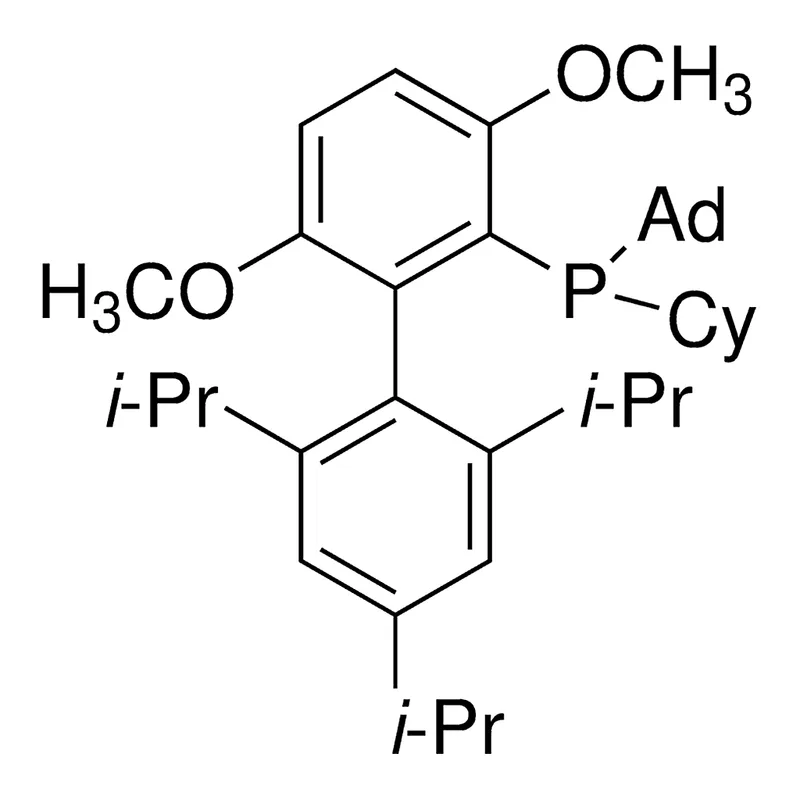 Merck AdCyBrettPhos