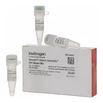 Thermo Fisher Scientific GeneArt Gibson Assembly HiFi Master Mix, 10 Reactions