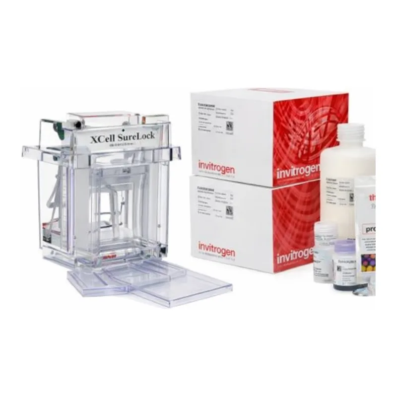 Thermo Fisher Scientific Novex WedgeWell Tris-Glycine XCell SureLock Mini-Cell Welcome Pack, 4 to 20%, 10-well