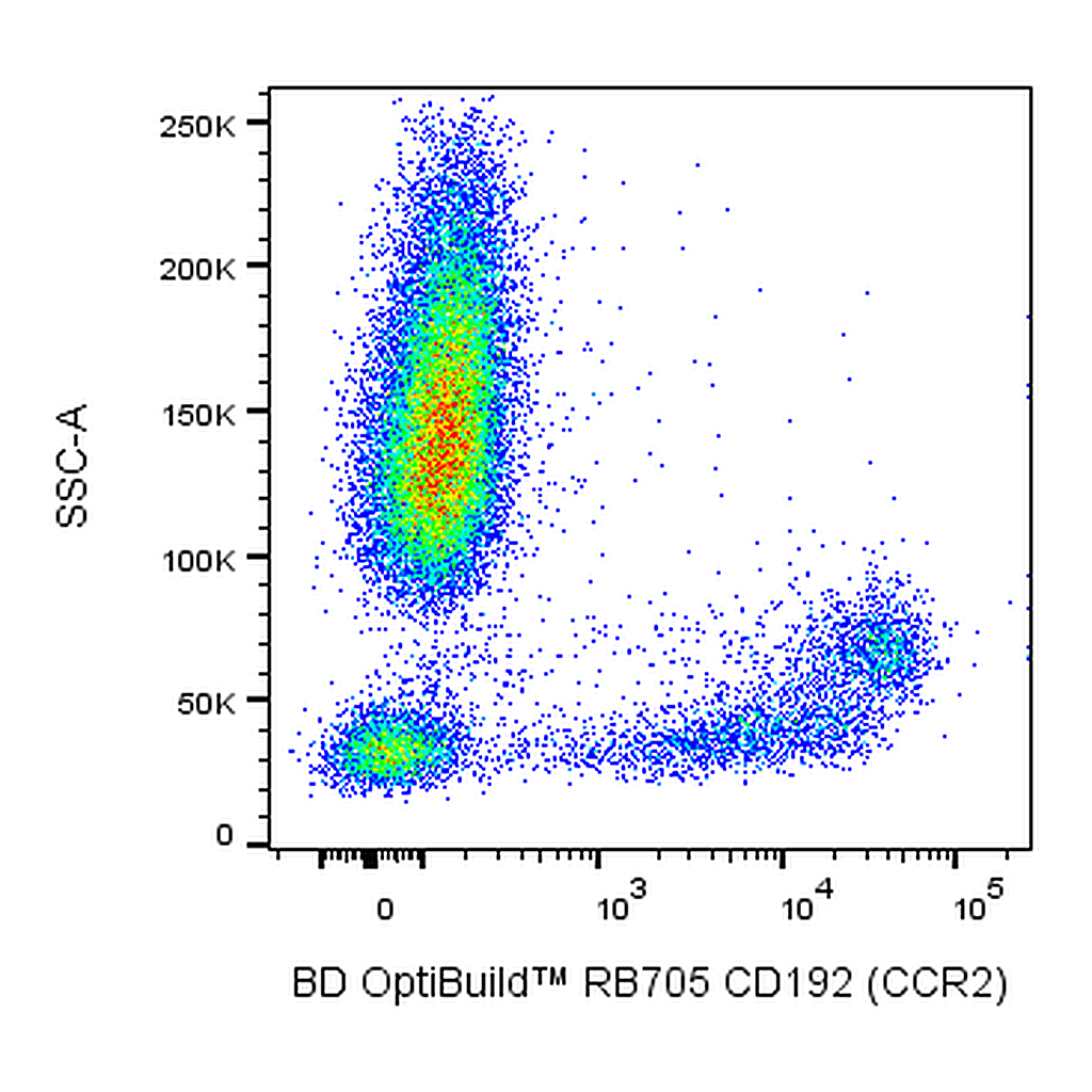 BD RB705 Mouse Anti-Human CD192 (CCR2)