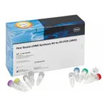 Merck First Strand cDNA Synthesis Kit for RT-PCR (AMV)