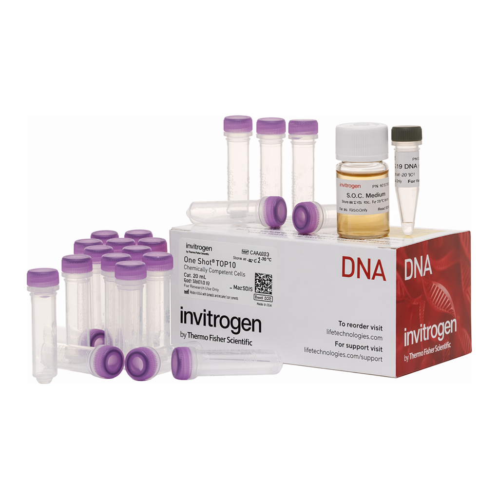 Thermo Fisher Scientific One Shot TOP10 Chemically Competent E. coli, 21 x 50 &mu;L