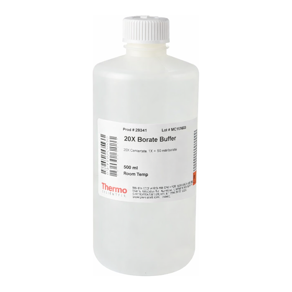 Thermo Fisher Scientific Pierce 20X Borate Buffer, 500 mL