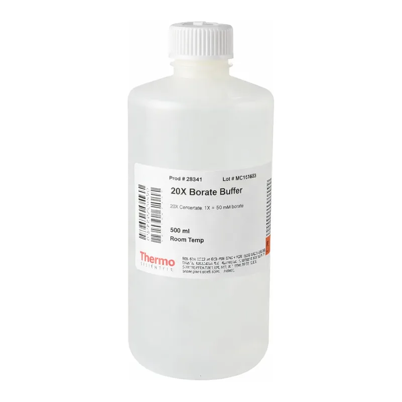 Thermo Fisher Scientific Pierce 20X Borate Buffer, 500 mL
