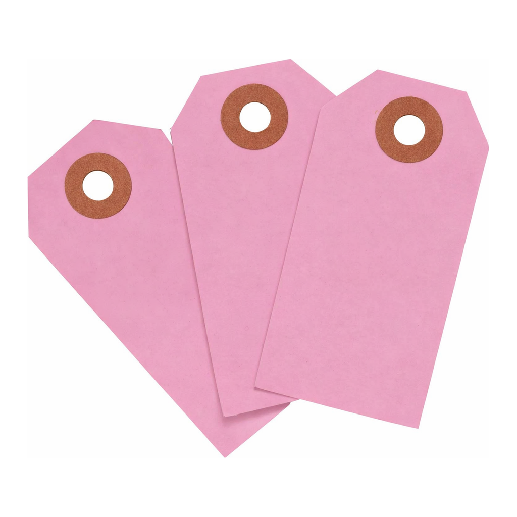 Brady Blank Heavy Duty Pink Tags