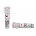 Merck MISSION(R) esiRNA