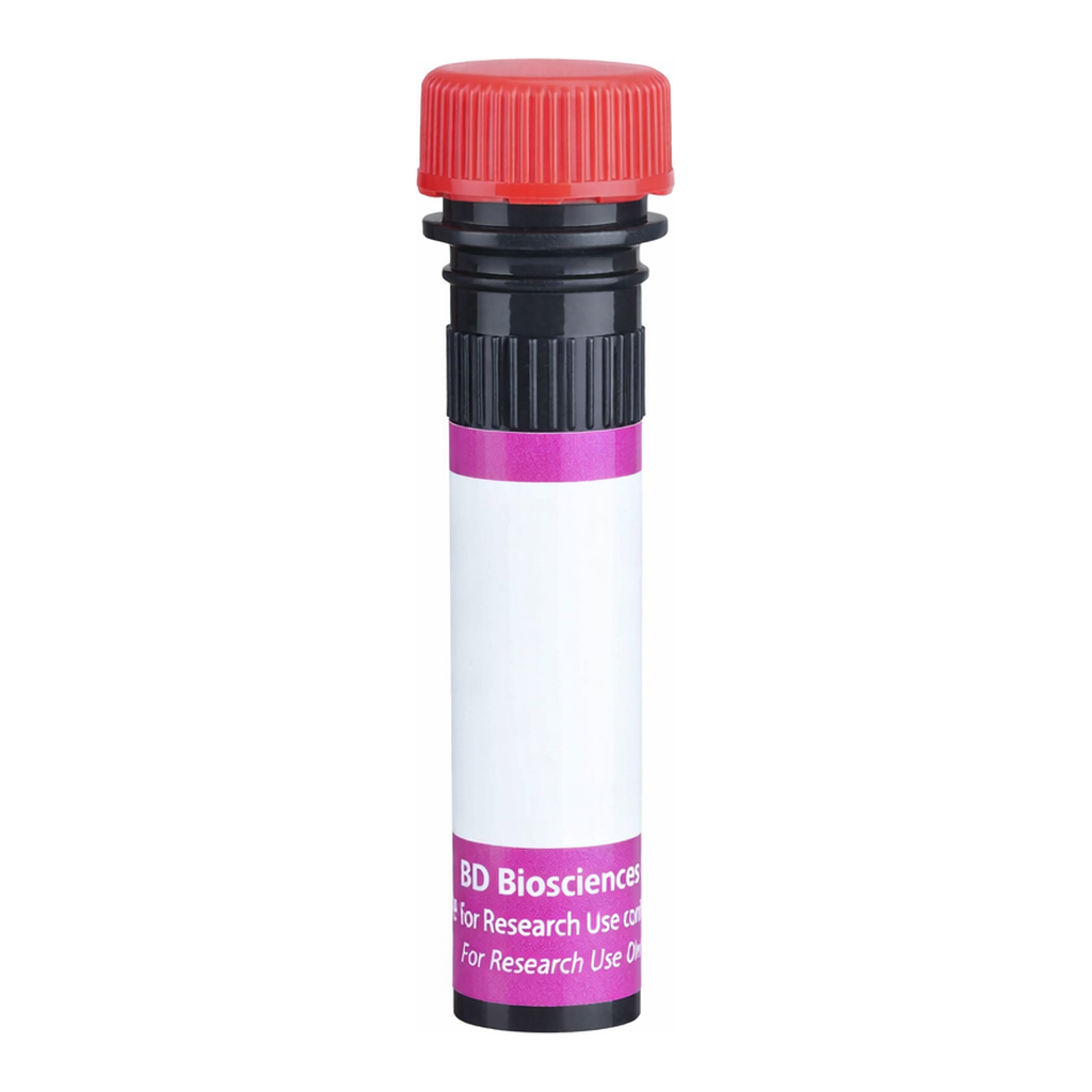 BD BV711 Rat Anti-Mouse Vβ 11 T-Cell Receptor