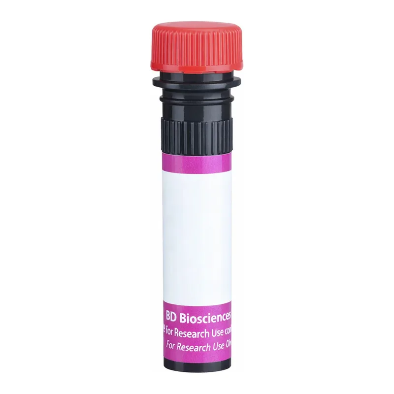 BD BV711 Rat Anti-Mouse Vβ 11 T-Cell Receptor
