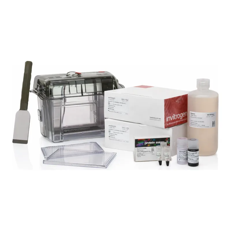 Thermo Fisher Scientific NuPAGE WedgeWell Midi Bis-Tris Welcome Pack, 4 to 12%, 12 + 2-well, 1 Welcome Pk.