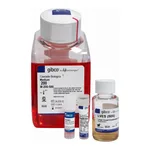 Thermo Fisher Scientific Angiogenesis Starter Kit