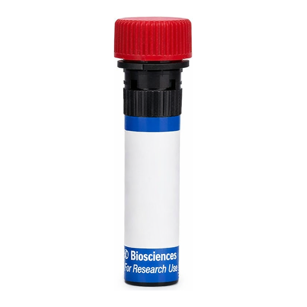 BD RB670 Mouse Anti-Human CD51/CD61 (Integrin αVβ3)