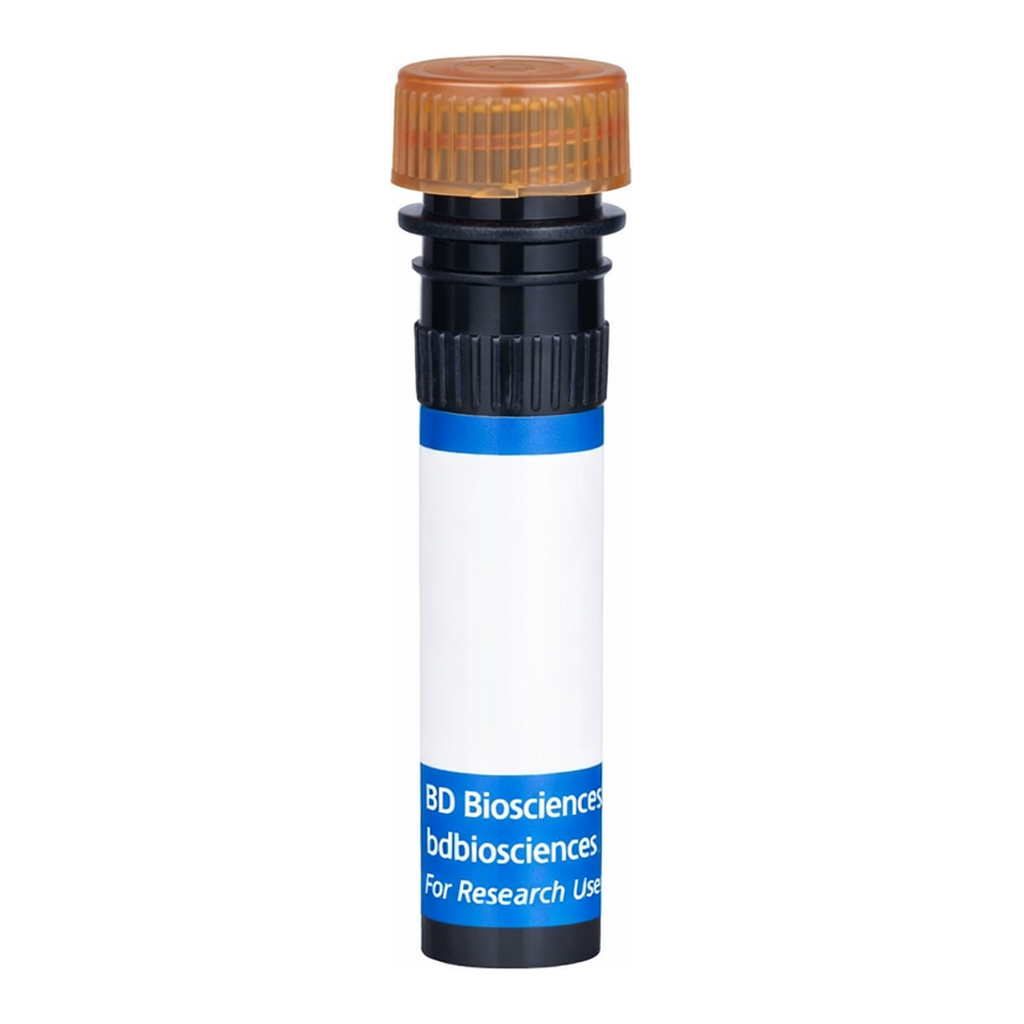 BD RB705 Rat Anti-Mouse Vα 8.3 T-Cell Receptor