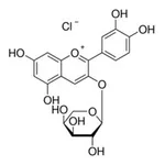 Merck Cyanidin 3-arabinoside chloride