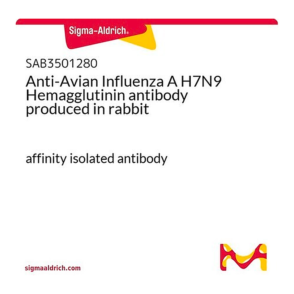 Merck Anti-Avian Influenza A H7N9 Hemagglutinin antibody produced in rabbit