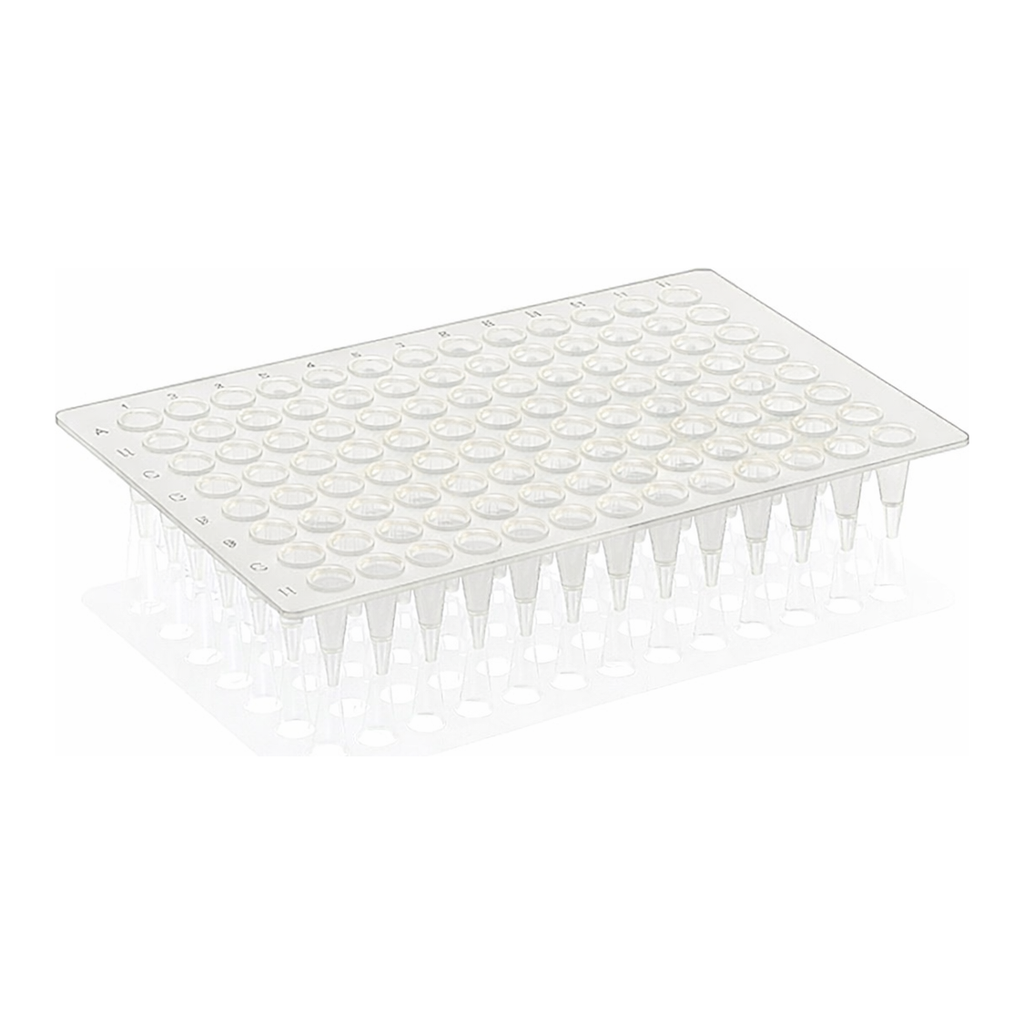 Thermo Fisher Scientific PCR Plate, 96-well, low profile, non-skirted, purple