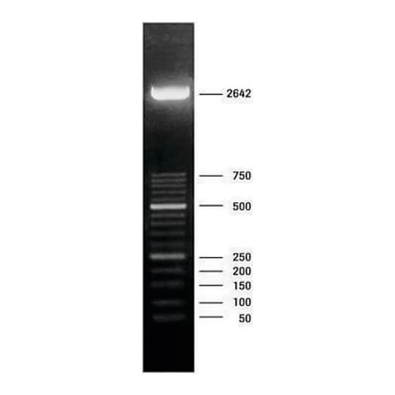 Merck DNA Molecular Weight Marker XIII (50 bp ladder)