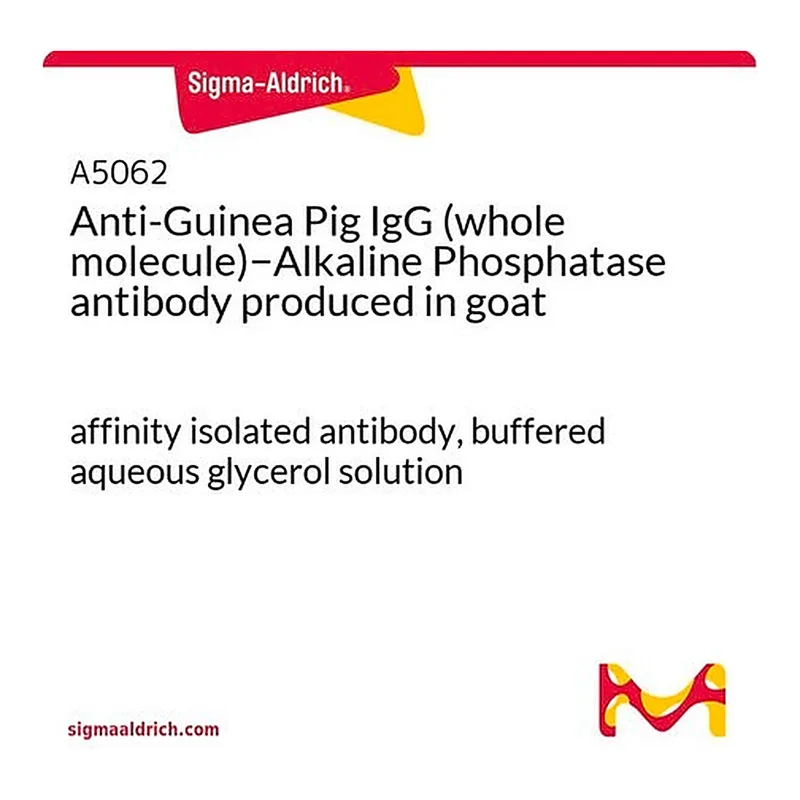 Merck Anti-Guinea Pig IgG (whole molecule)-Alkaline Phosphatase antibody produced in goat