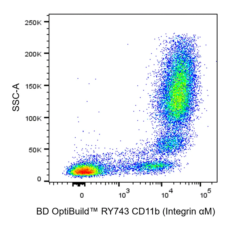 BD RY743 Mouse Anti-Human CD11b (Integrin αM)