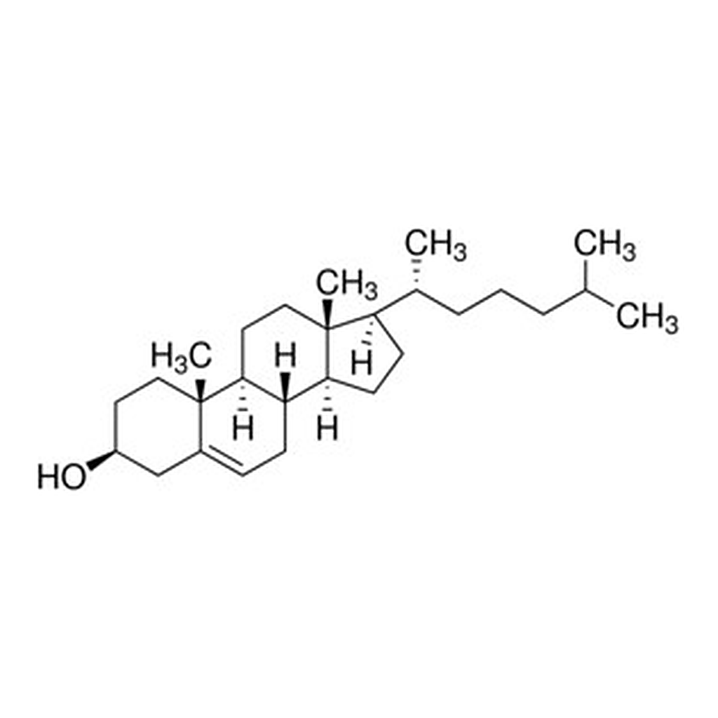 Merck CHOLESTEROL