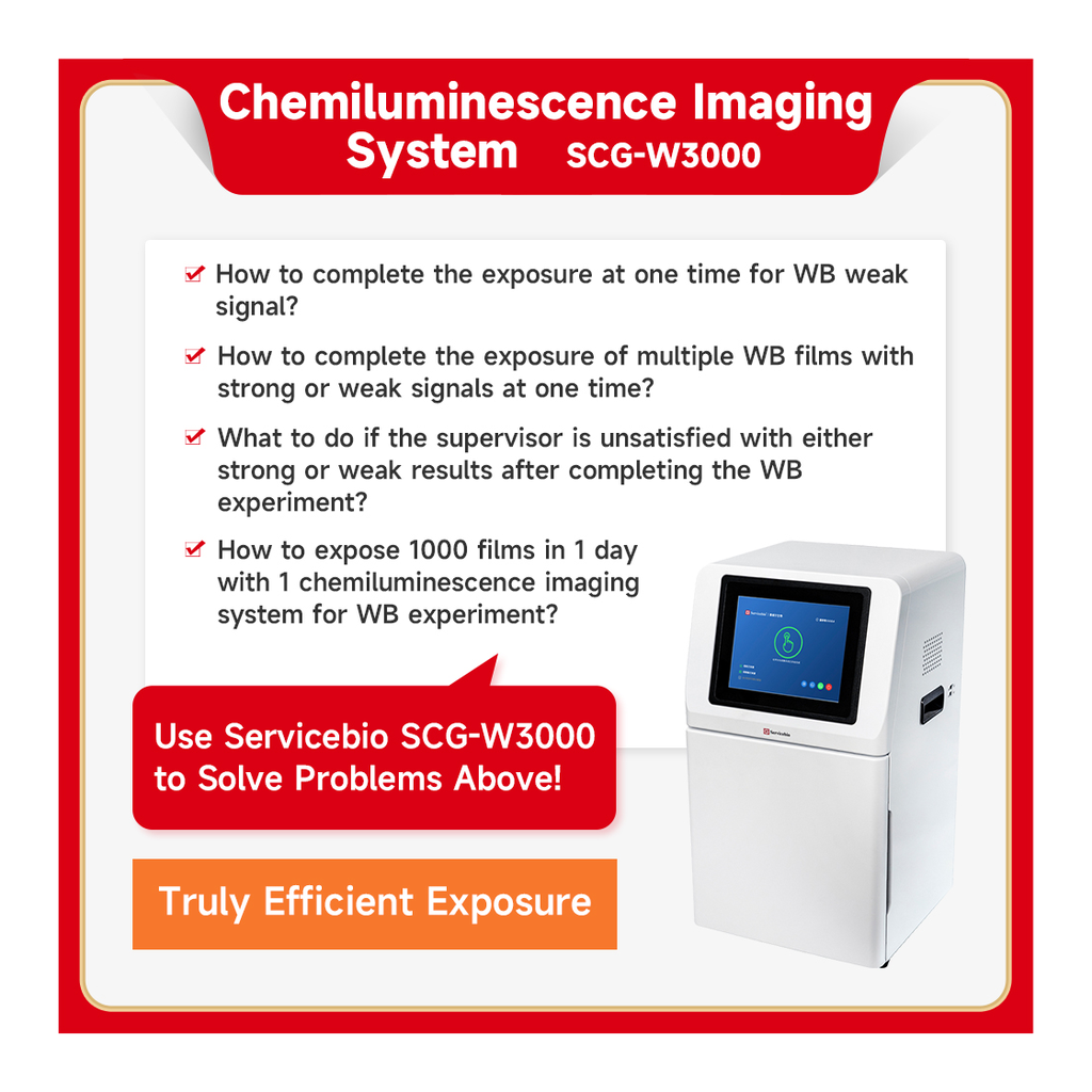 Servicebio Chemiluminescence Imaging System
