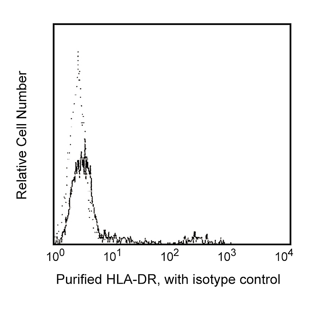 BD Purified Mouse Anti-Human HLA-DR