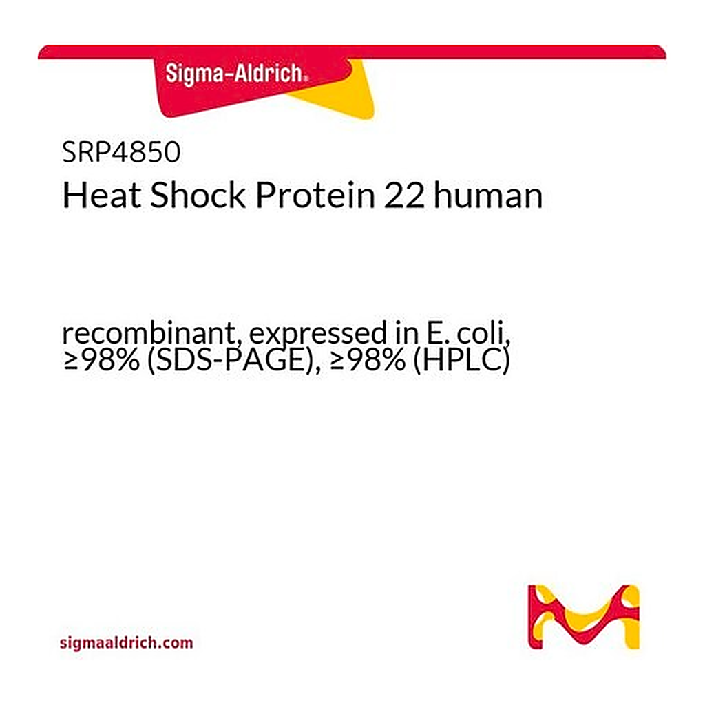 Merck Heat Shock Protein 22 human