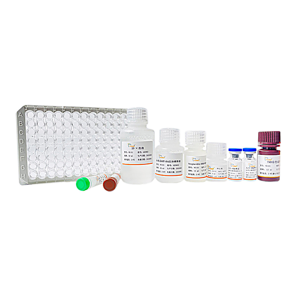 Human IL-6 ELISA Kit