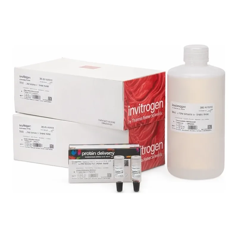 Thermo Fisher Scientific NuPAGE Midi Bis-Tris Resupply Pack, 4 to 12%, 1 Kit