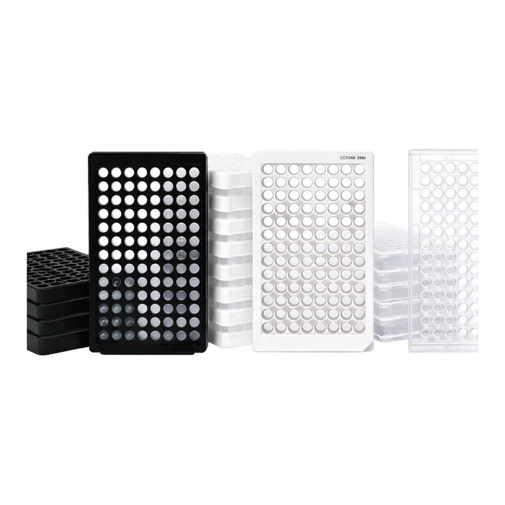 Thermo Fisher Scientific 96 Well Black Plate, Coverglass Bottom, CC2 Surface, Pack of 6