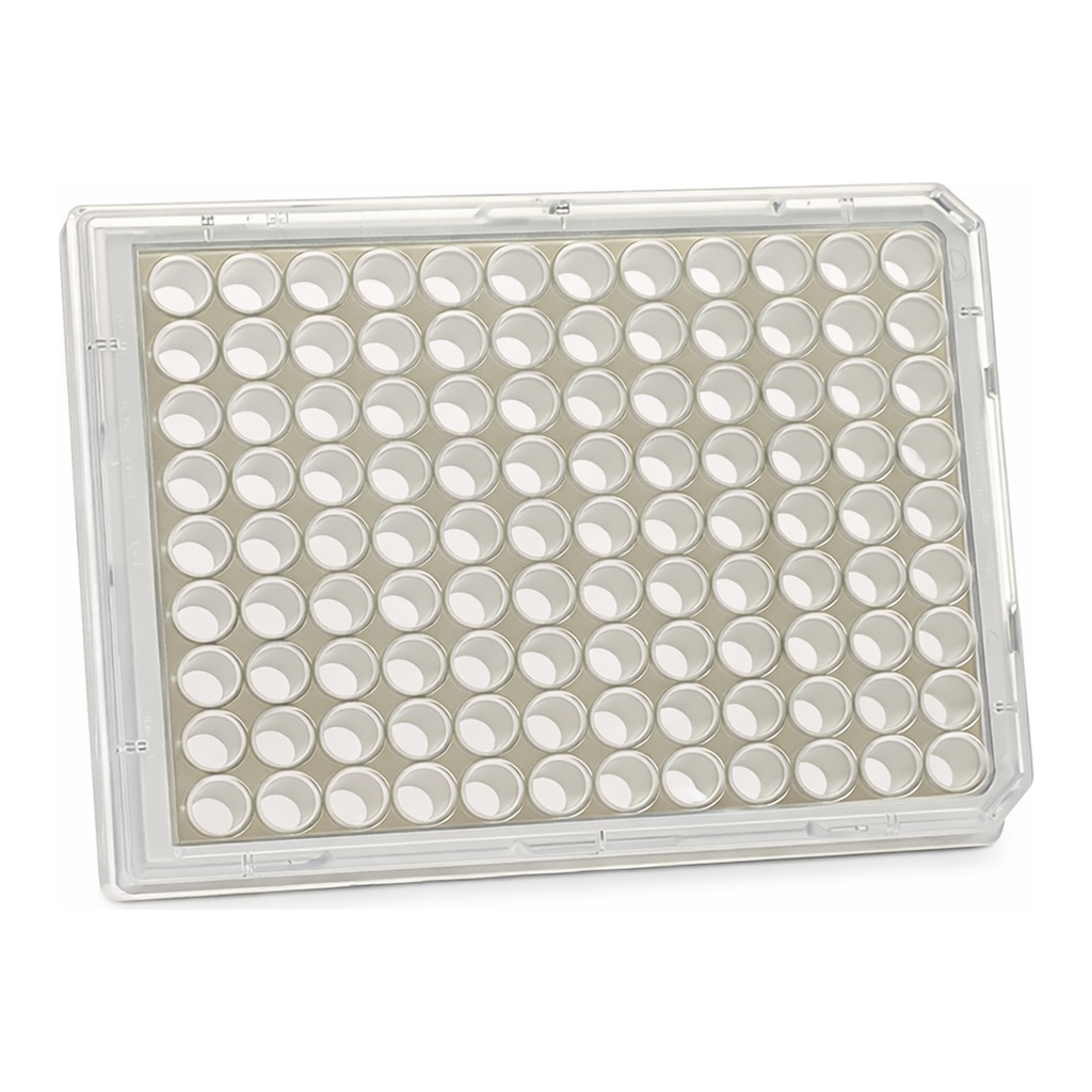 Thermo Fisher Scientific 96 Well Black/Clear Bottom Plate, Non-Treated Surface, No Lid, Non-Sterile, Pack of 10