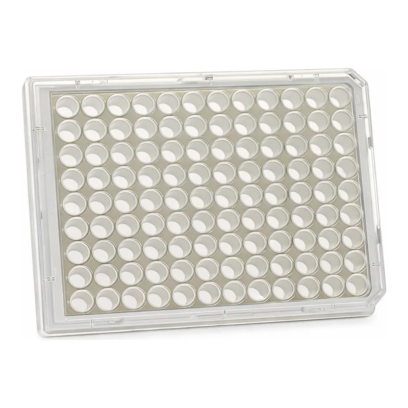 Thermo Fisher Scientific 96 Well Black/Clear Bottom Plate, Non-Treated Surface, No Lid, Non-Sterile, Pack of 10
