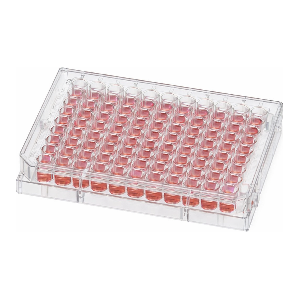 Thermo Fisher Scientific 96 Well Conical (V) Bottom Plate, Non-Treated Surface, Pack of 1