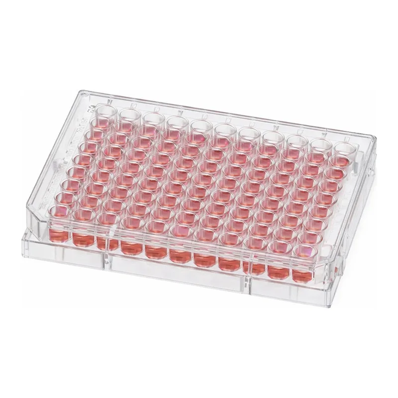 Thermo Fisher Scientific 96 Well Conical (V) Bottom Plate, Non-Treated Surface, Pack of 1