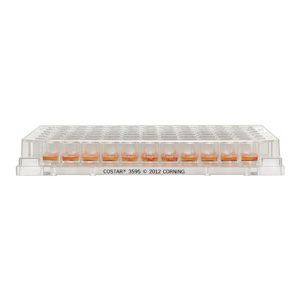 Thermo Fisher Scientific 96 Well Plate, Non-Treated Surface, No lid, Non-sterile, Pack of 5