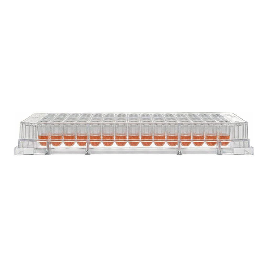 Thermo Fisher Scientific 96 Well Plate, Non-Treated, Non-Sterile, Pack of 10