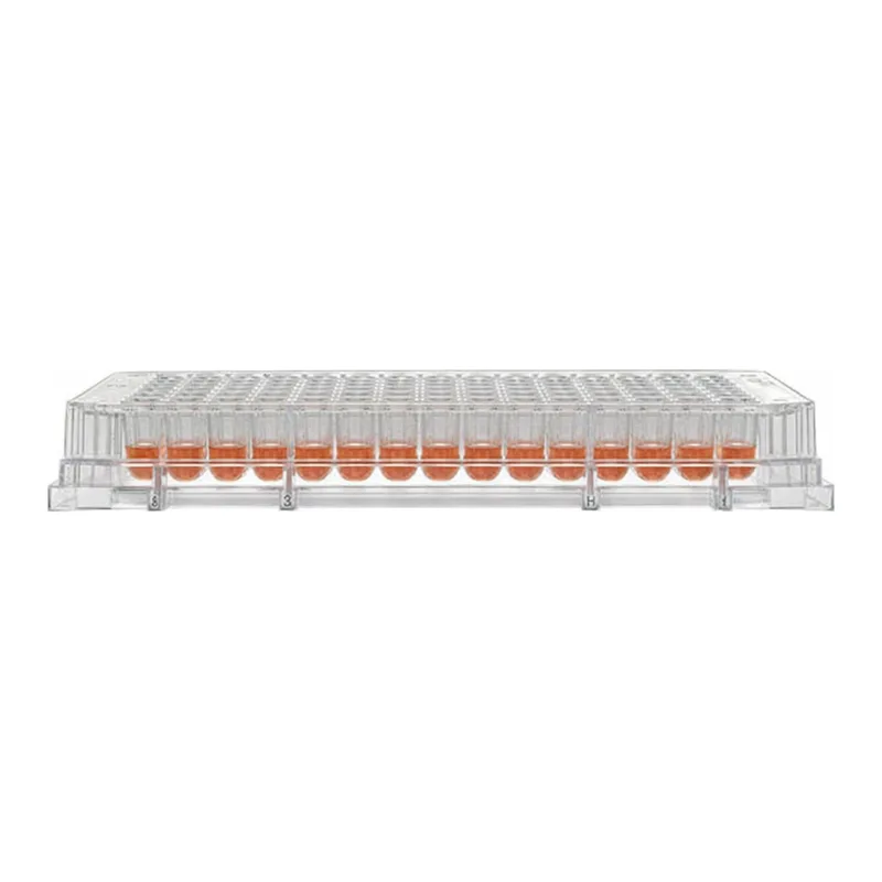 Thermo Fisher Scientific 96 Well Plate, Non-Treated, Non-Sterile, Pack of 10