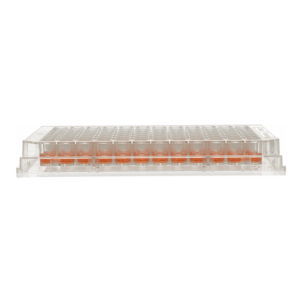 Thermo Fisher Scientific 96 Well Plate, Non-Treated, Surface, No Lid, Non-sterile, Pack of 10