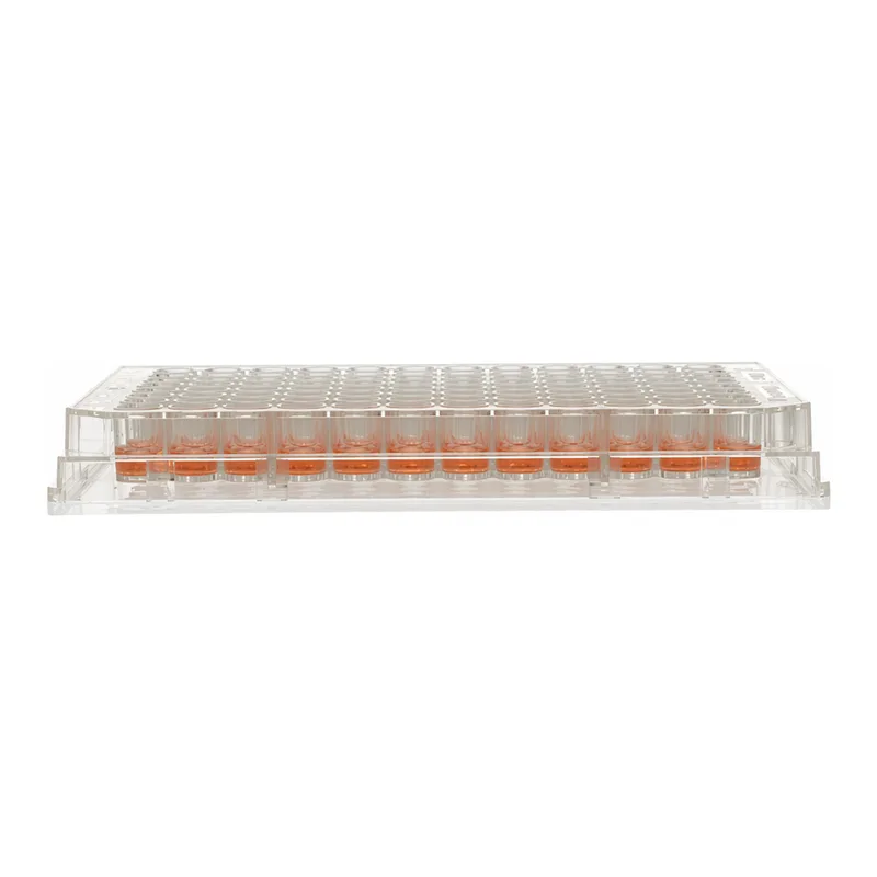 Thermo Fisher Scientific 96 Well Plate, Non-Treated, Surface, No Lid, Non-sterile, Pack of 10