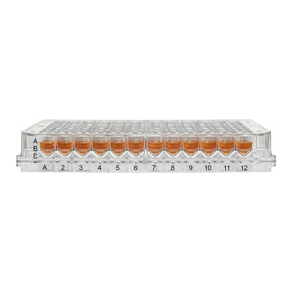 Thermo Fisher Scientific 96 Well Plate, Poly-D-Lysine Coated Surface, Pack of 5