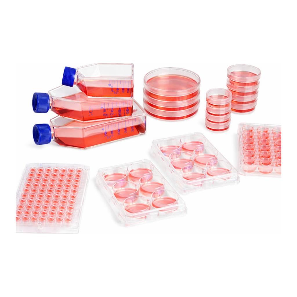 Thermo Fisher Scientific 96 Well Plate, Sphera Low-Attachment Surface, Pack of 1